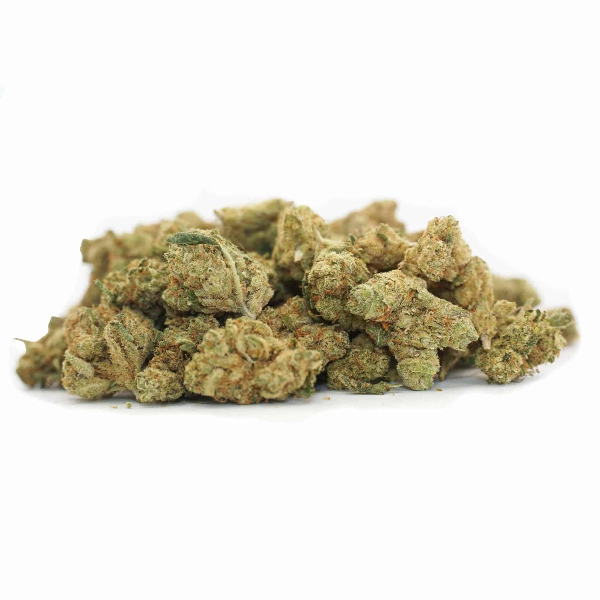 Mini Buds Indoor - Amnesia Hy Pro - 2