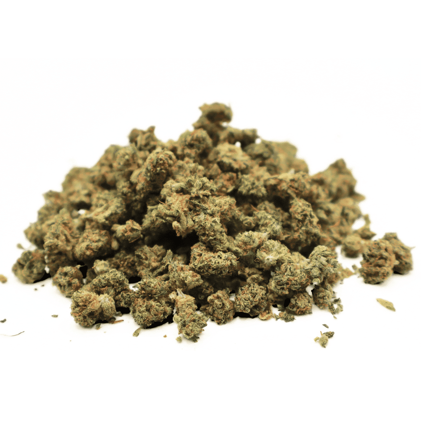 MINI BUDS INDOOR - APPLE FRITTER - 2