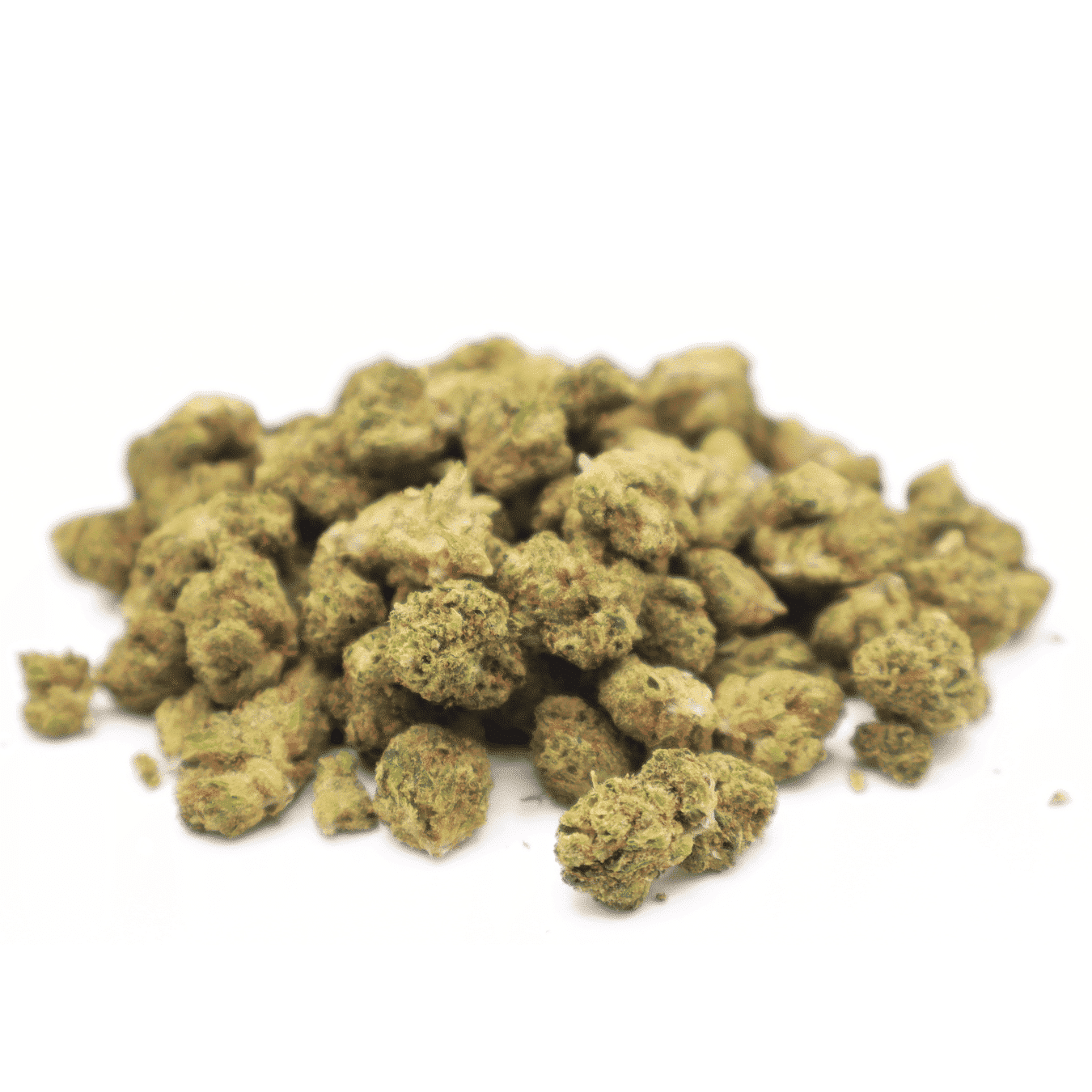 MINI BUDS INDOOR - WEDDING CRASHER